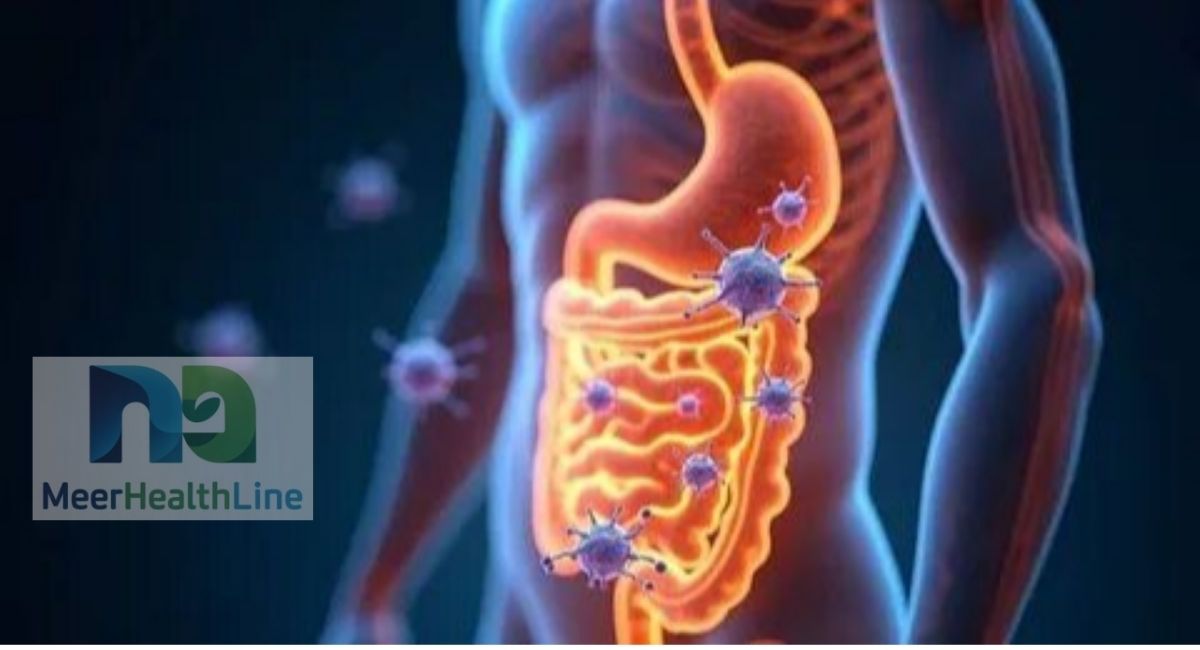 connection-of-gut-and-the-immune-system