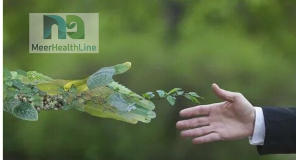 environmental-change-of-lifestyle-and-seasonal-awareness