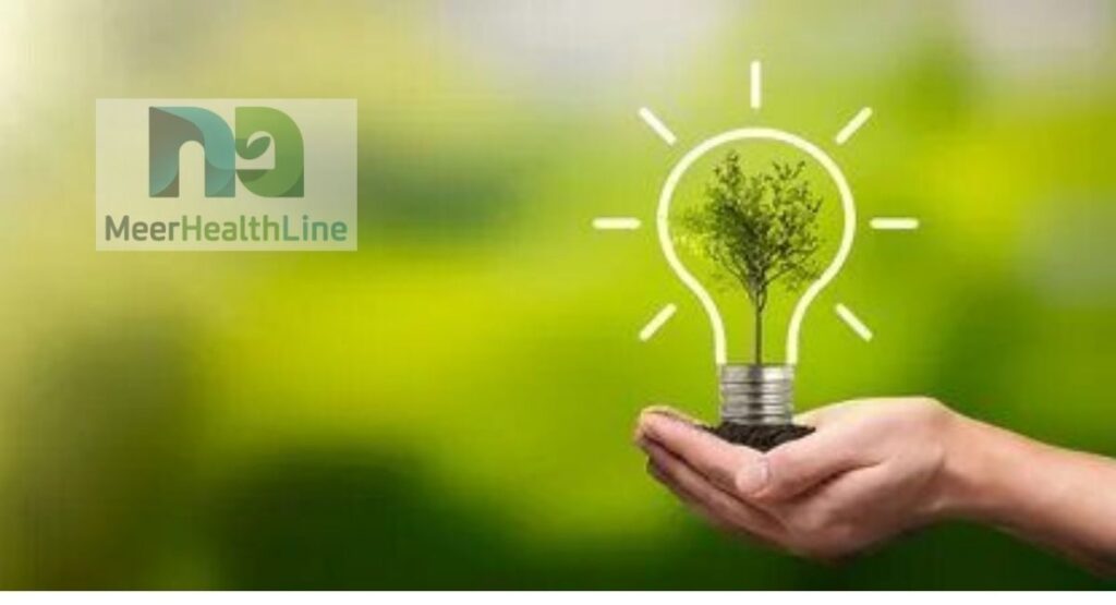 the-influence-of-seasons-on-our-life-and-the-efficiency